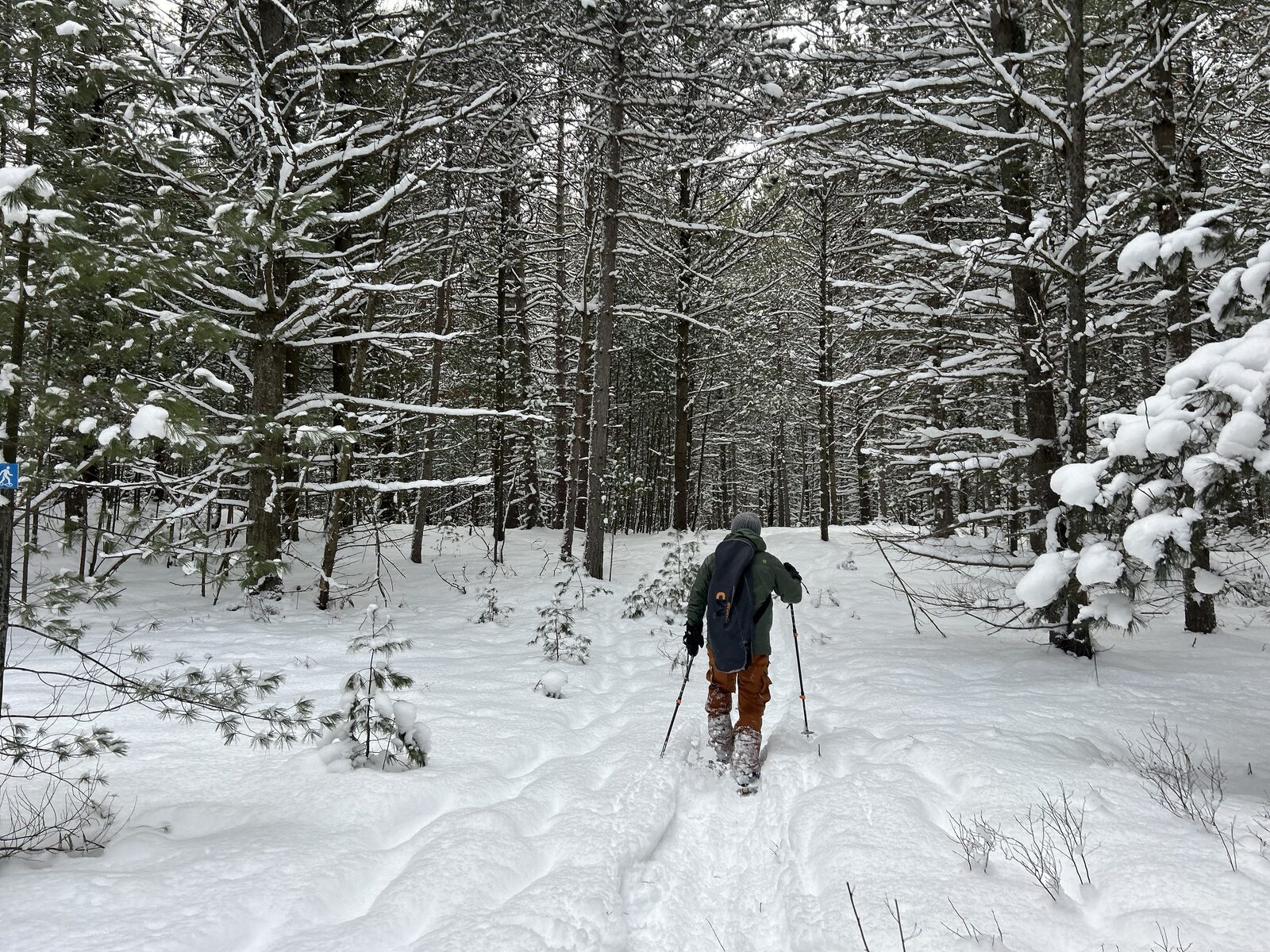 A person snowshoeing along a forest trail through deep snow surrounded by snow-covered pine trees in a Wasaga Beach winter scene.